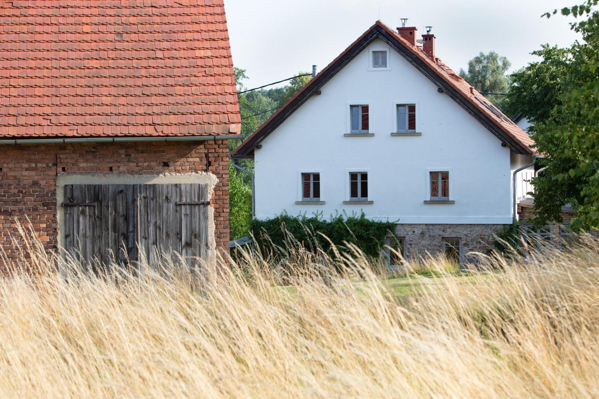 Domnumer 10 * Pokrzywnik